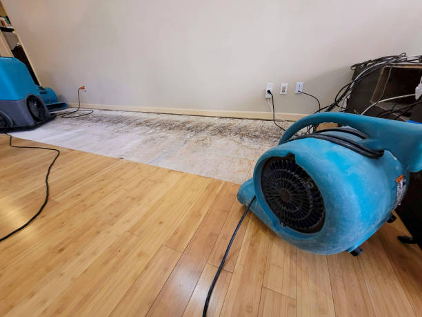Reliable Basement Flood Cleanup contractor in Georgetown, CO by Hirex Water Damage