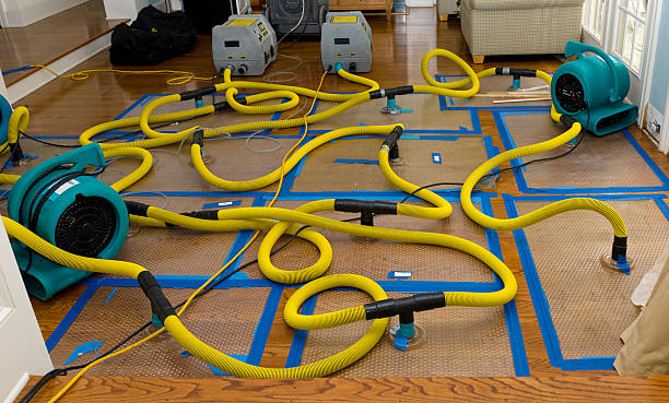 Professional Basement Flood Cleanup technician working in Georgetown, CO